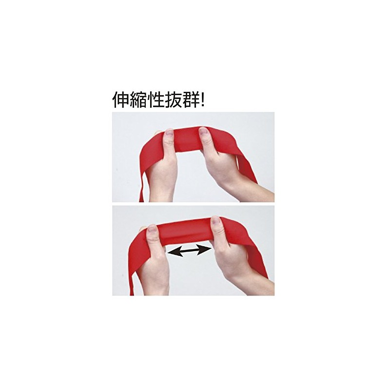 Artec Fit Hachimaki White 4184