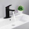 Matte Black Single Handle Basin Faucet for Bathroom & Laundry