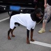 LoveLongLong Dog Jumpsuit with UV Protection and Quick-Dry Fabric for