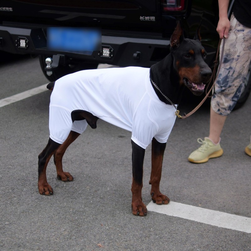LoveLongLong Dog Jumpsuit with UV Protection and Quick-Dry Fabric for