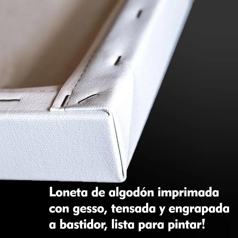 Genérico Mini Lienzos Bastidores Para Pintar - Minicanvas 5 Piezas