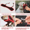 Dog Muzzle for Small Medium Large Dogs - Soft Nylon