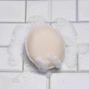 Pack of 1 x Earth Therapeutics Exfoliating Body Sponge -