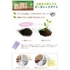 Danami Steaming Mugwort Pad (DANAMI) 20 Pad, Genuine = Organic