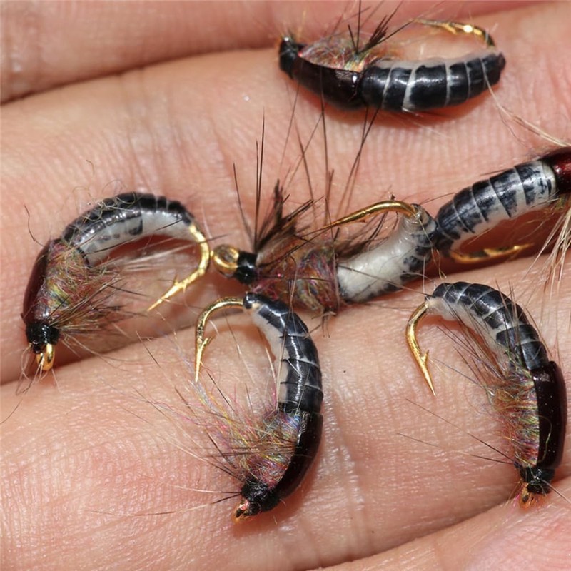 Nymph Scud Fly Fishing Lures, Brown, 6-Piece Set, Artificial Trout