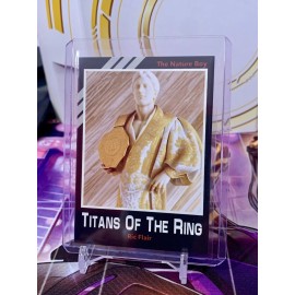 WWE Titans Of The Ring Custom Card Set Ric Flair Base T-09