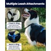 LufeLux No Pull Dog Harness Two Point Control Leash Set,