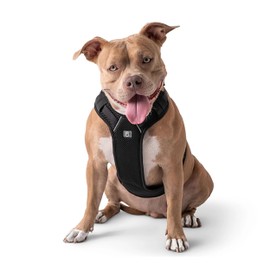 GF PET Travel Harness - Black - XS