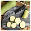 Everwilde Farms - 1 Oz Gray Zucchini Summer Squash Seeds
