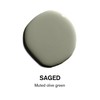 BACKDROP | Premium Interior Paint | Large Adhesive Paint Swatch