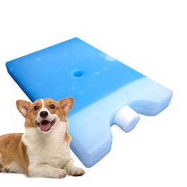 Long Lasting Ice Pack, Leak-Proof Lunch Boxes Ice Packs, Convenient Efficient Cooling Solution, Outdoor Camping Cooler Accessories for Hiking Fishing Picnic