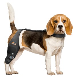 CHAMIN Adjustable Dog Knee Brace with Extra Collar, Support for Torn Acl Hind Leg, Tear Ligament, Osteoarthritis,Rear Leg Limp, Recovery After Surgery,et(Right Leg,S)