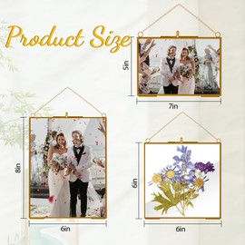HSDSH 3 Pcs Glass Picture Frame for Pressed Flower,Golden Hanging Photo Frame Clear Glass Artwork Display Frame with Chain for Dried Plant Gallery Wall Decor DIY Home Wall Art
