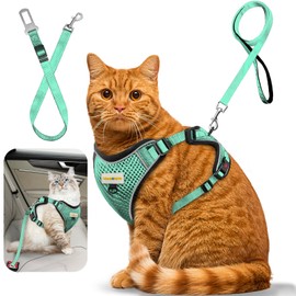 MingXpets Cat Harness and Leash for Walking, Retractable Cat Harnesses and Leash Set Escape Proof, Breathable Soft Kitten Small Large Harness for Travel Training and Walking, Green, M