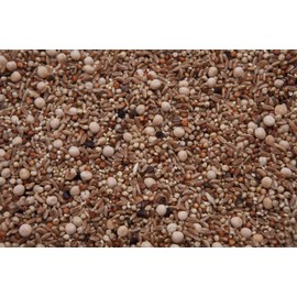 Des Moines Wild Bird Feed No Corn Regular Pigeon Mix (13%) (20)