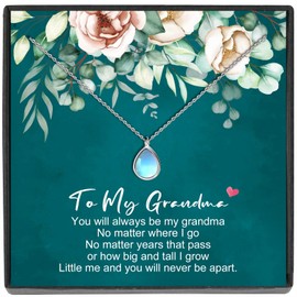 JeeweLife Grandma Gifts Sterling Silver Moonstone Necklace Mother's Day, Birthday, for Women Girls