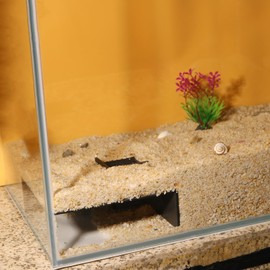 LingoFoto Aquarium Undergravel Fish Tunne Hide Cave Corner Tank Decorations Under Gravel Viewing Tunnel Fish Cave for Aquarium Hideout (Black,Style 8)