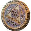 10 Month AA Medallion Reflex Funfetti Birthday Glitter Gold Sobriety