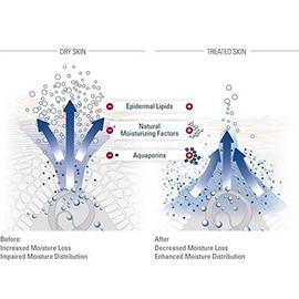 Chear Glycol Perfumed Moisturizing Hand & Body Lotion 250ml - for Men & Women for dry & normal skin - with Olive Oil & Glycerine