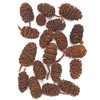 Tokyodo DT066165 Natural Material Yashabushi Large (50 Pieces)