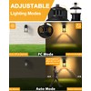 2 Pack Porch Lights with GFCI Outlet, Dusk to Dawn
