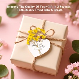 50 Pcs Baby's Breath Real Natural Dried Pressed Flowers for Wedding DIY Crafts Home Decor Resin Art Card Making Vase Arrangements (Yellow)