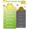 Bee Watering Station Floating Island - 5 Pack Pollinator Drinker