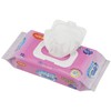 habina-su Toilet To Flow Glance and Butt – 72 Piece