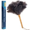 Aldwin Ostrich Feather Duster, 16 Inch Ostrich Feather Duster With