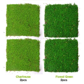 Preserved Sheet Moss Dried Moss Mat for Plant Cover Moss Craft Arts Floral Wedding Decor for Crafts (Mix-Color)