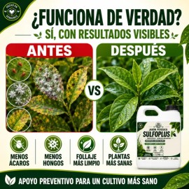 Jabón Potásico Con Azufre Sulfoplus 1l Fungicida Y Acaricida                                                                                          