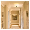 Lodstob 2-Light Flush Mount Ceiling Light Fixture, 12" Modern Close