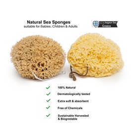 Natural Ocean Sponges | Soft Sea Yellow Bath Sponges for Newborn | Facial Cleansing Sponge – Artist – Craft sponges Set - (6,5-8,5cm) – Pack of 4 pcs