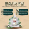 OilnGlow - Rosemary and Biotin Natural Pre-Wash Scalp Oil and