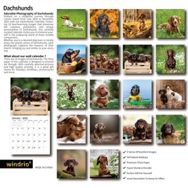 2024 2025 Wall Calendar, 18 Months July 2024 - December 2025, Wall Calendar Dachshund, 12" x 24" Opened,Full Page Months Thick & Sturdy Paper for Kids Teen Calendar Organizing & Planning