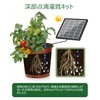 NFESOLAR Automatic Watering and Storage Plant Water Supply, Includes 32.1