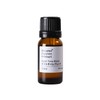 Night Time Blend Essential Oil 10ml