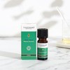 Tisserand Tea Tree Organic Pure Essential Oil 9ml