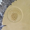 Fun Food Tools, Wood Cookie Stamp, 2.5 Inch (Pine Cone