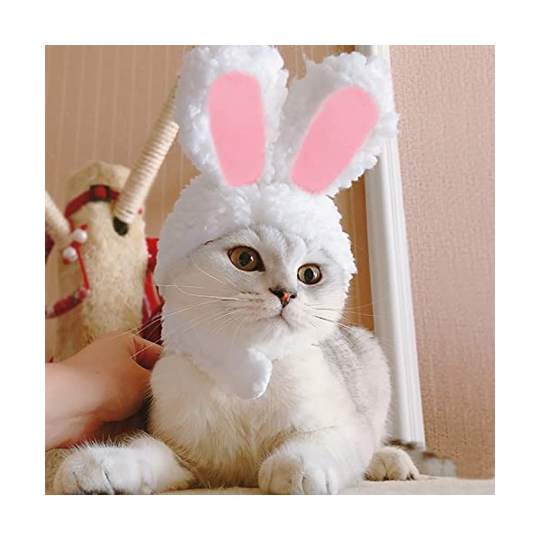 YUJUN Cat Easter Cute Costume Pet Bunny Rabbit Hat with