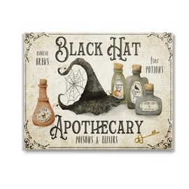 Stupell Industries Vintage Black Hat Apothecary Canvas Wall Art by Deane Beesley
