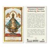 Nuestra Señora de SanJuan Los Lagos laminated prayer card