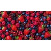 EsencialMX Esencia De Frutos Rojos Para Difusor 10ml