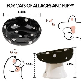 Ceramic Elevated Cat Bowls, Tilted Raised Cat Bowl Anti Vomit Cat Bowl for Indoor Cats, Whisker Friendly Pet Food and Water Bowl for Kitten, Cat, Puppies, Dishwasher Safe