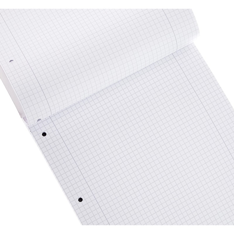 Brunnen 1052528 School Notepad (A4, 50 Sheets, Squared, with Margin