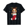 Santa Hat Havanese Puppy Dog In Socks Xmas Tree Lights