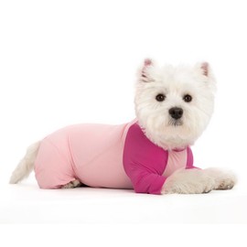 Miaododo Lightweight Summer Dog Surgery Recovery Suit for Small Medium Dog, Puppy After Surgery Onesie for Surgery Female Male Spay Dogs Long Sleeve