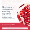 Youtheory Resveratrol Advanced Antioxidant Formula - 290 Tablets (72 Day