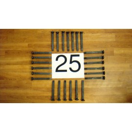 25 New Railroad Spikes