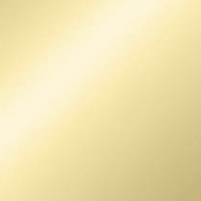 Design House Millbridge Toilet Paper Holder in Polished Brass